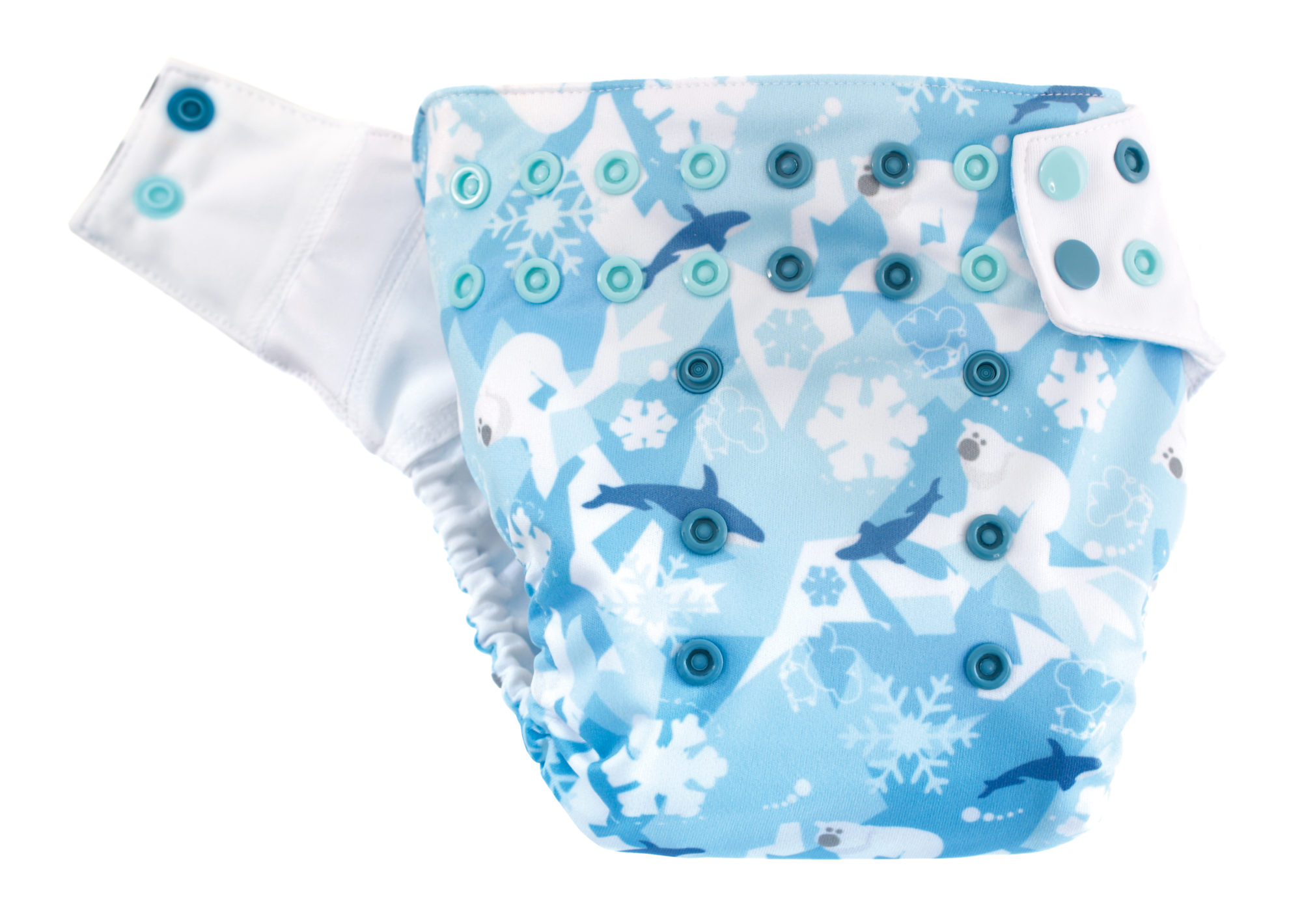 ARCTOS-otulacz-c Shell (ARCTOS)