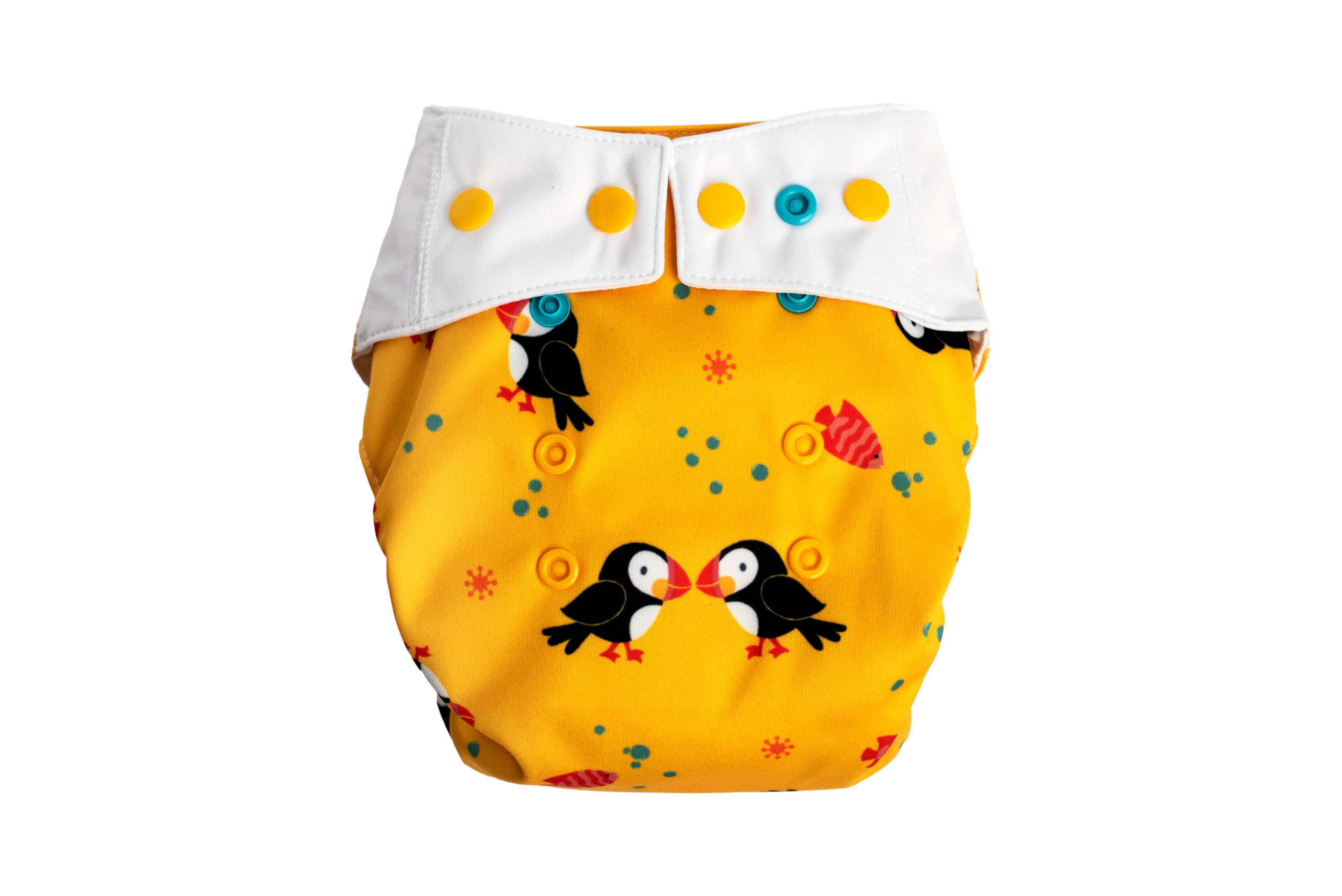 Pressure-free shells - No Elastic Bands (PUFFINS) Pressure-free shells - No Elastic Bands (PUFFINS)